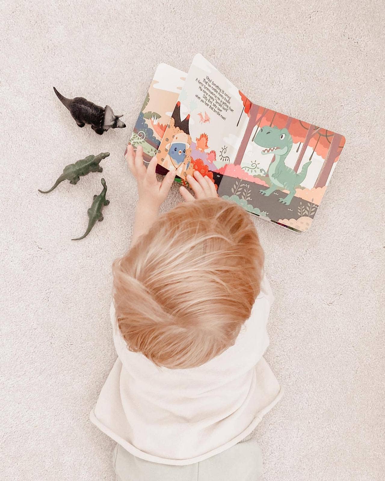 Ditty Bird | Baby Sound Book Dino Lovers | Dinosaur Sounds