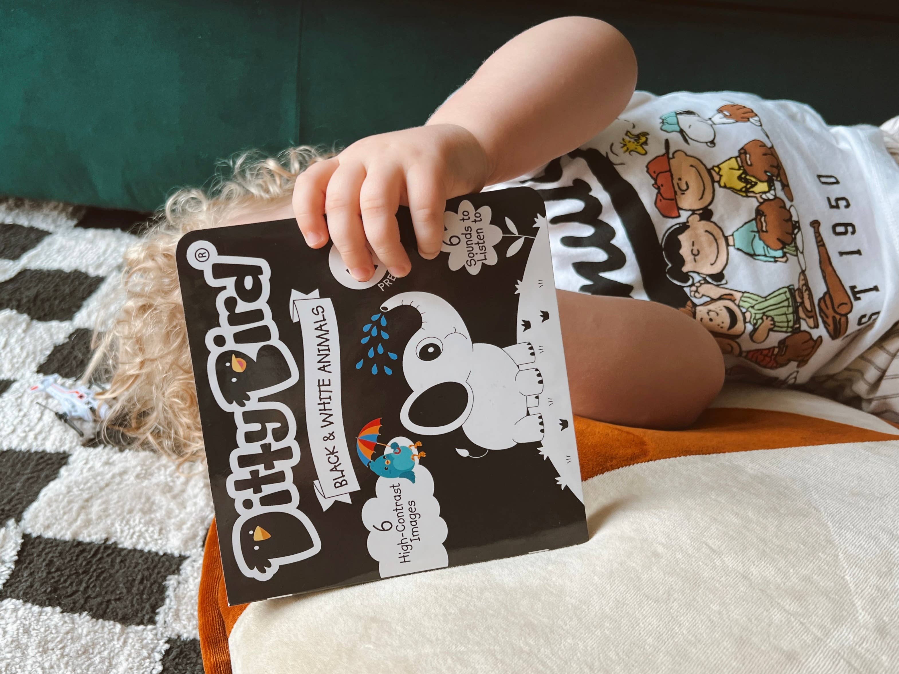 Ditty Bird | Black and White Sound Book