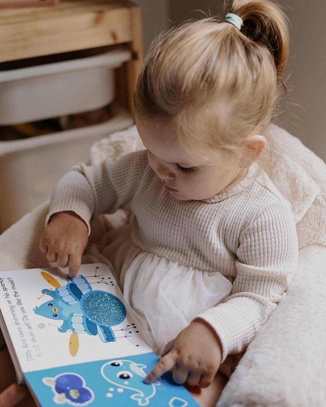 Ditty Bird | First Sensory Book | Montessori | Touch the colors