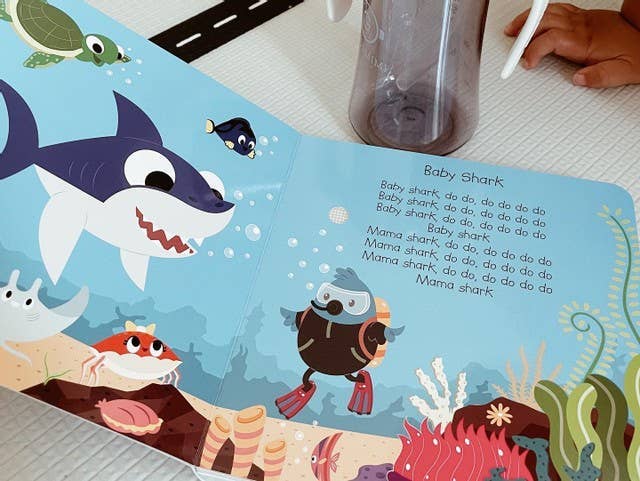 Ditty Bird | Animal songs incl.Baby Shark
