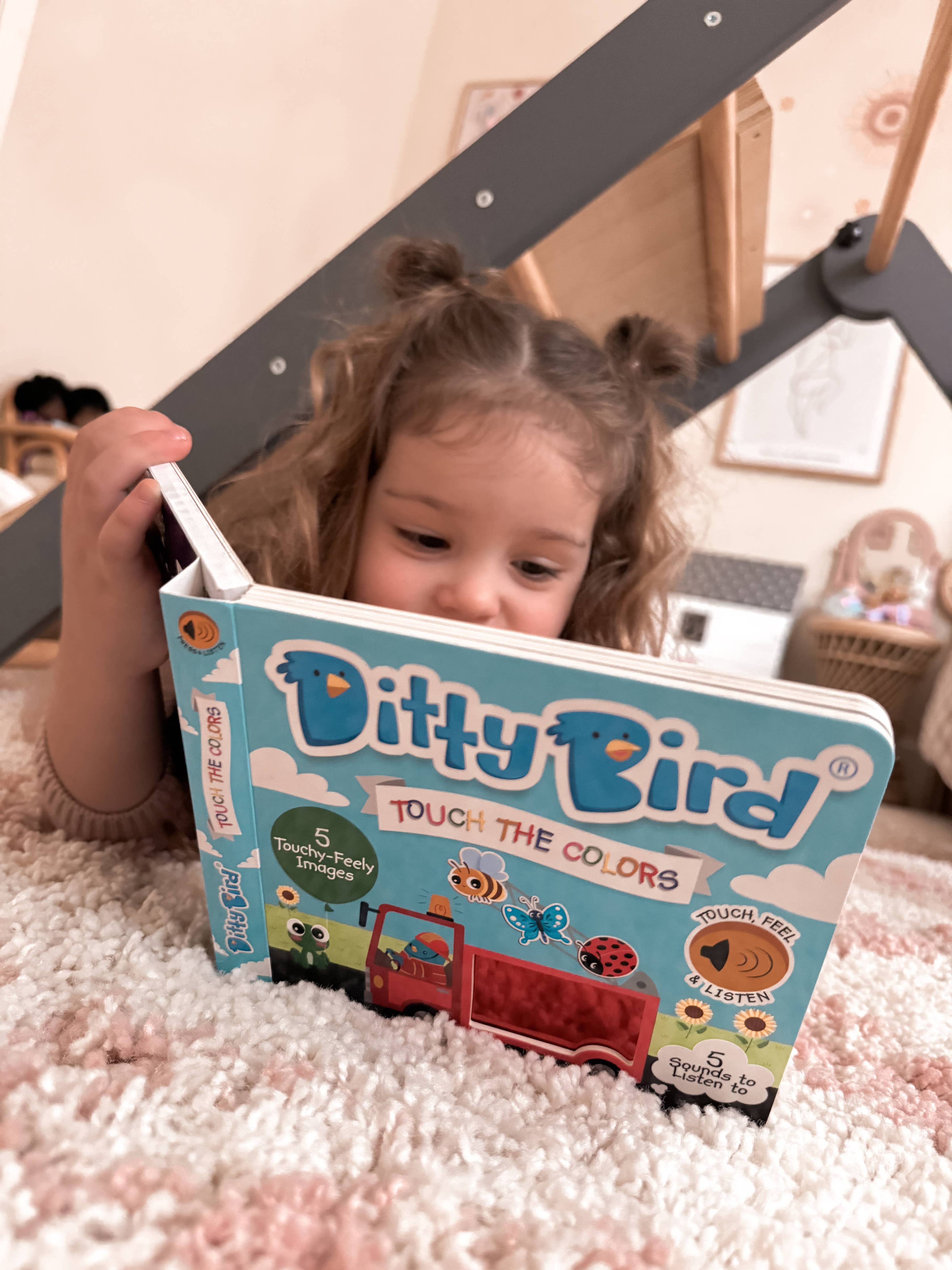 Ditty Bird | First Sensory Book | Montessori | Touch the colors