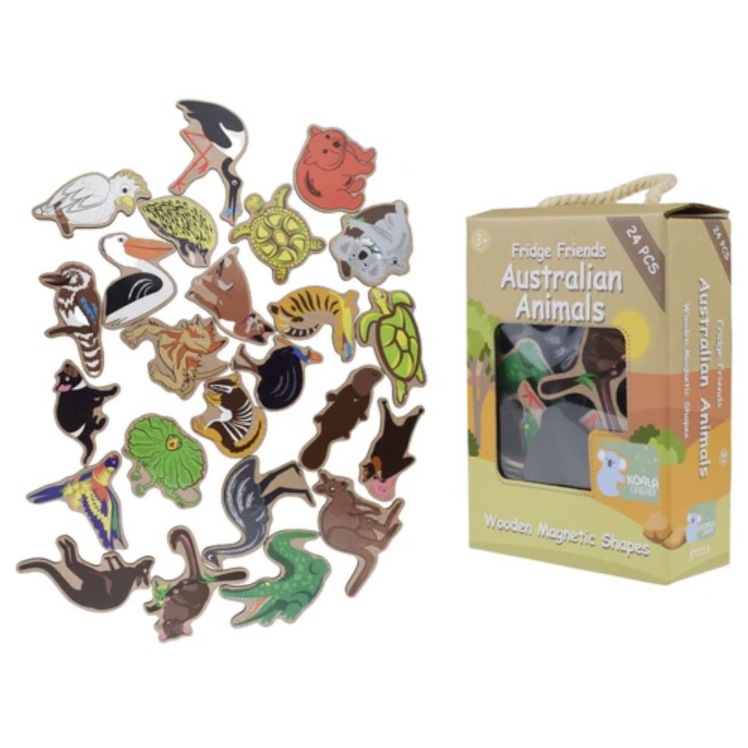 Koala Dream | Fridge Friends Magnetic | Australian Animals 24pc