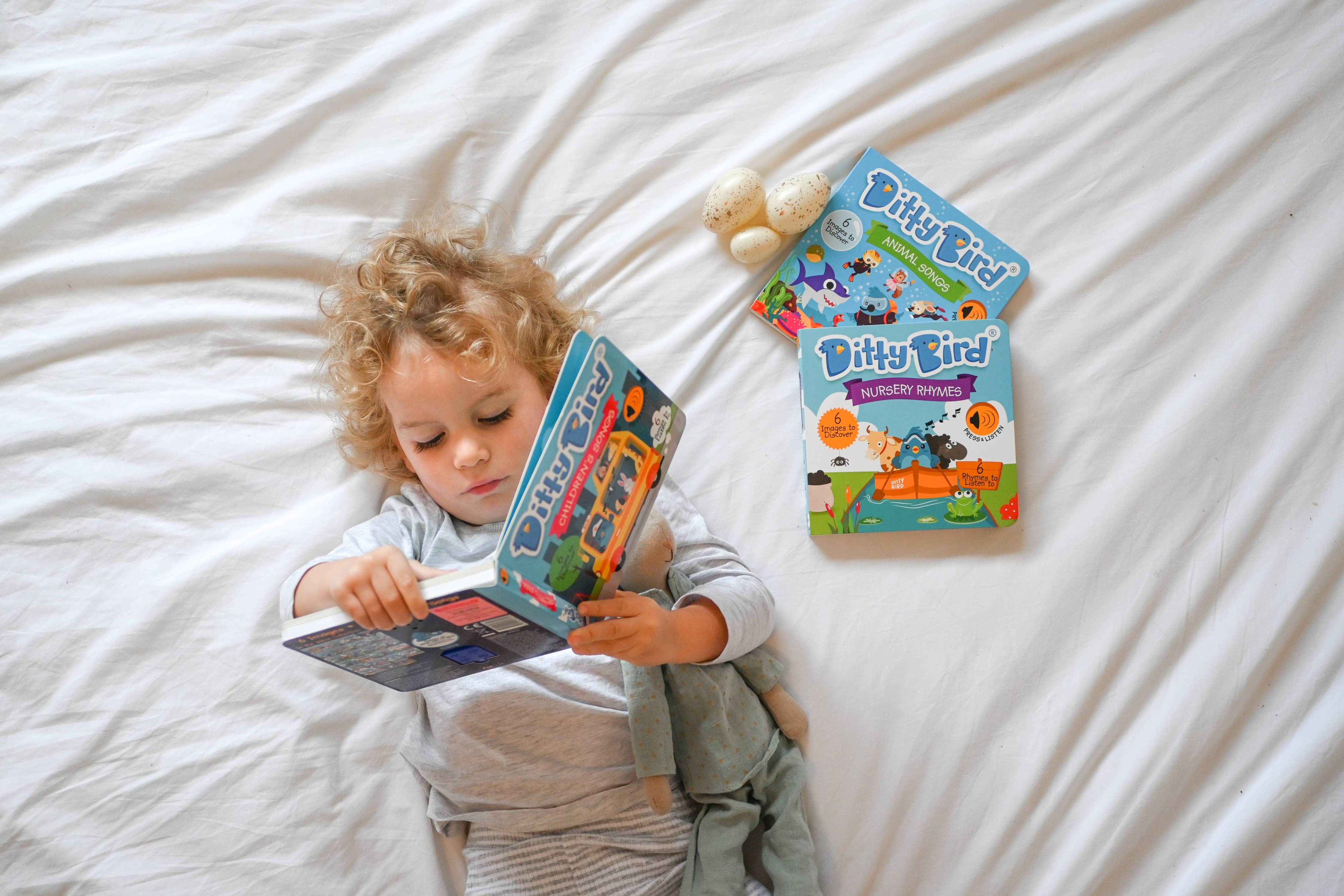 Ditty Bird | Farm Animal | Baby Sound Book Farm