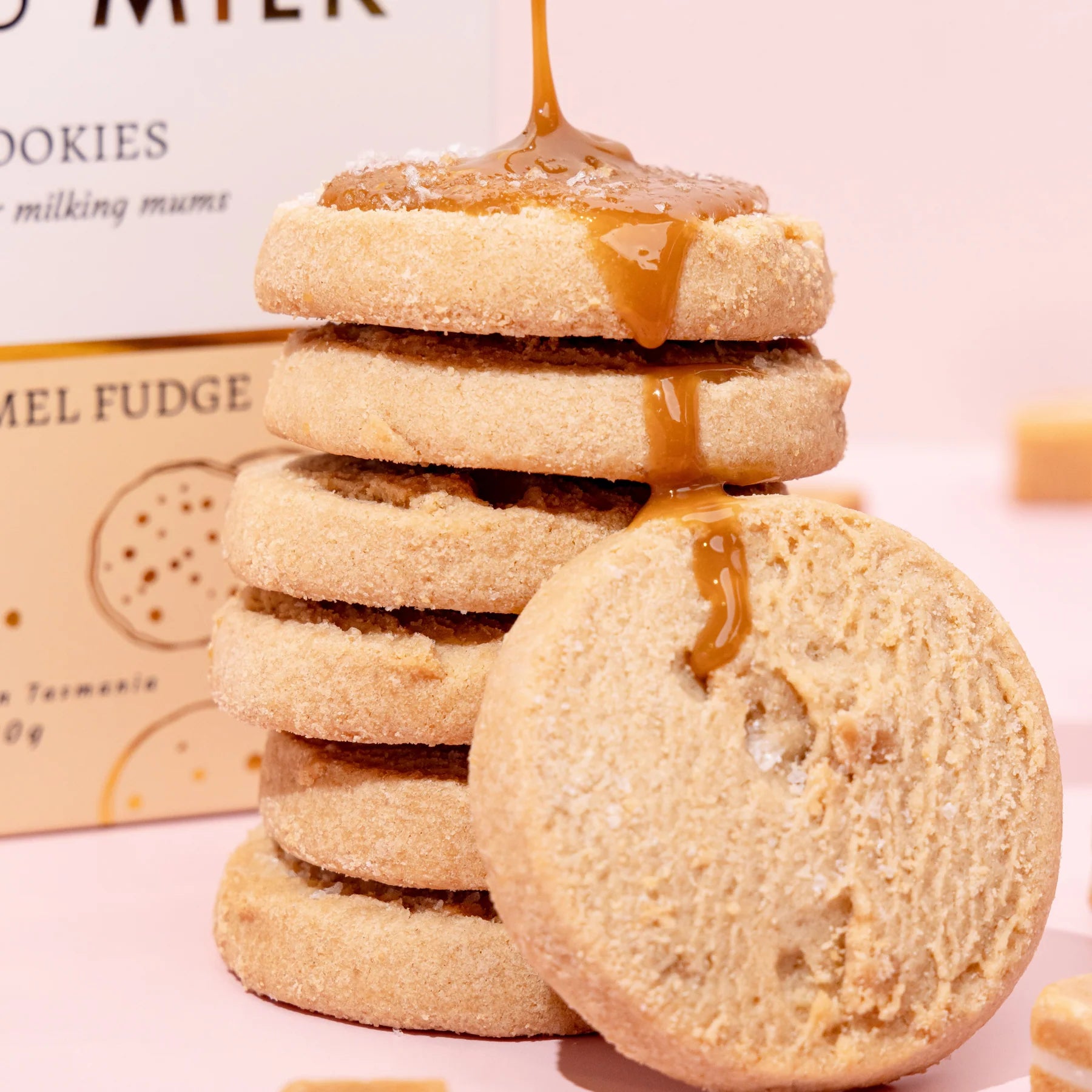 Made to Milk Salted Caramel Fudge Lactation Cookies