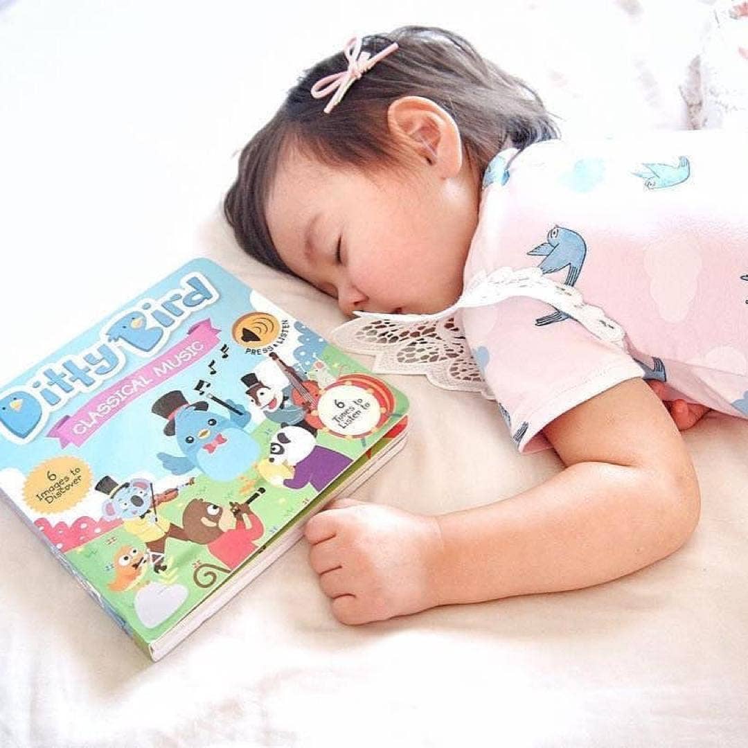 Ditty Bird | Baby Sound Book | Classical Music Mozart-Beethoven