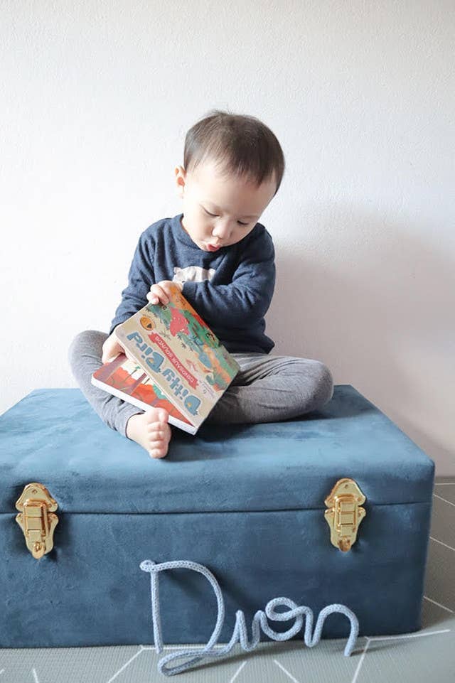 Ditty Bird | Baby Sound Book Dino Lovers | Dinosaur Sounds