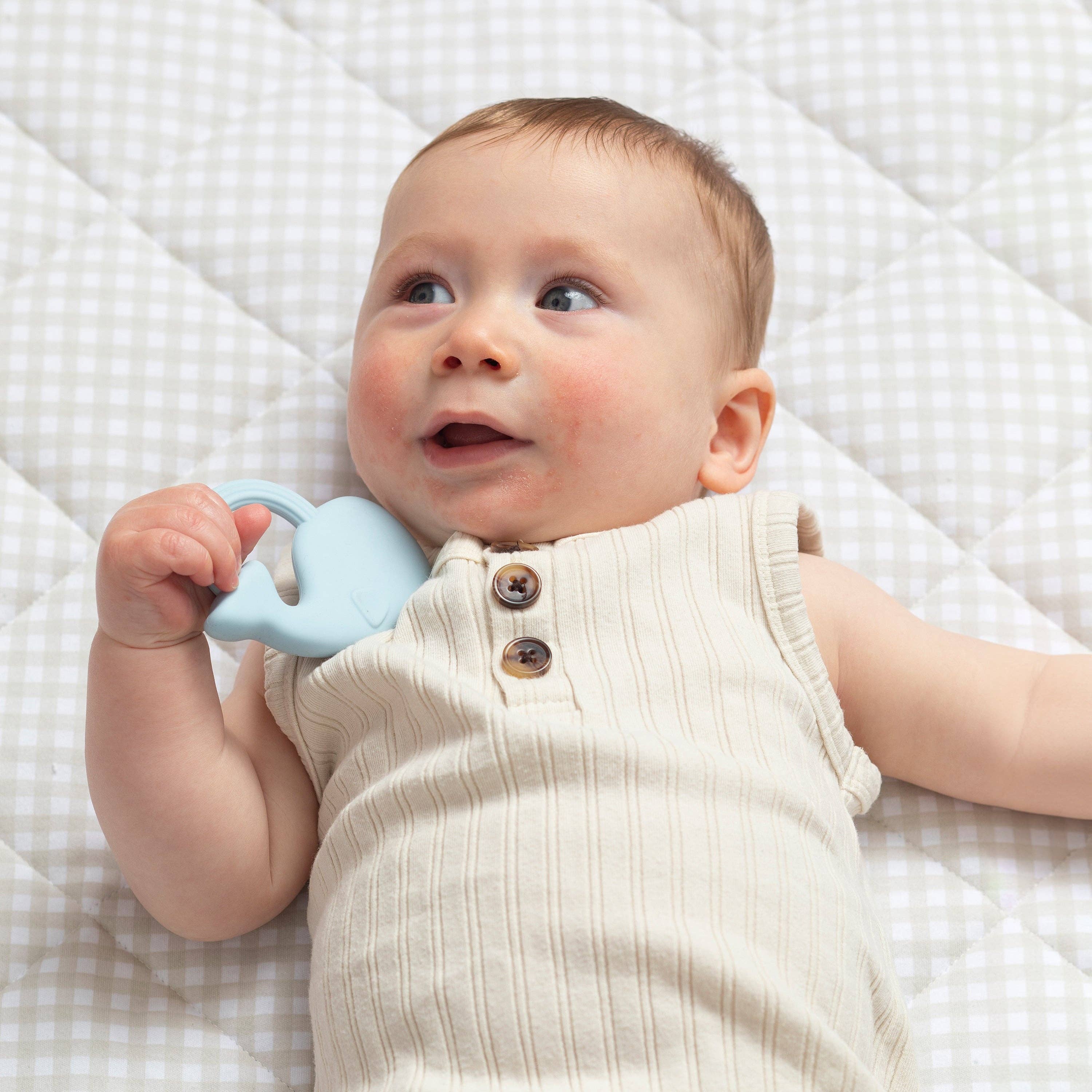 Living Textiles 2pk Silicone Teether Whale & Cloud