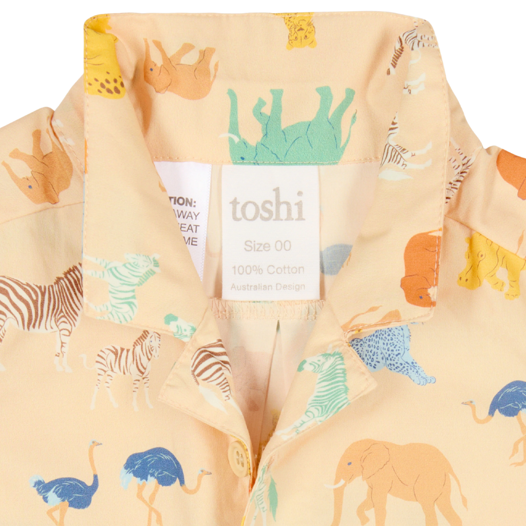 Toshi | Shirt Banjo | Congo Driftwood