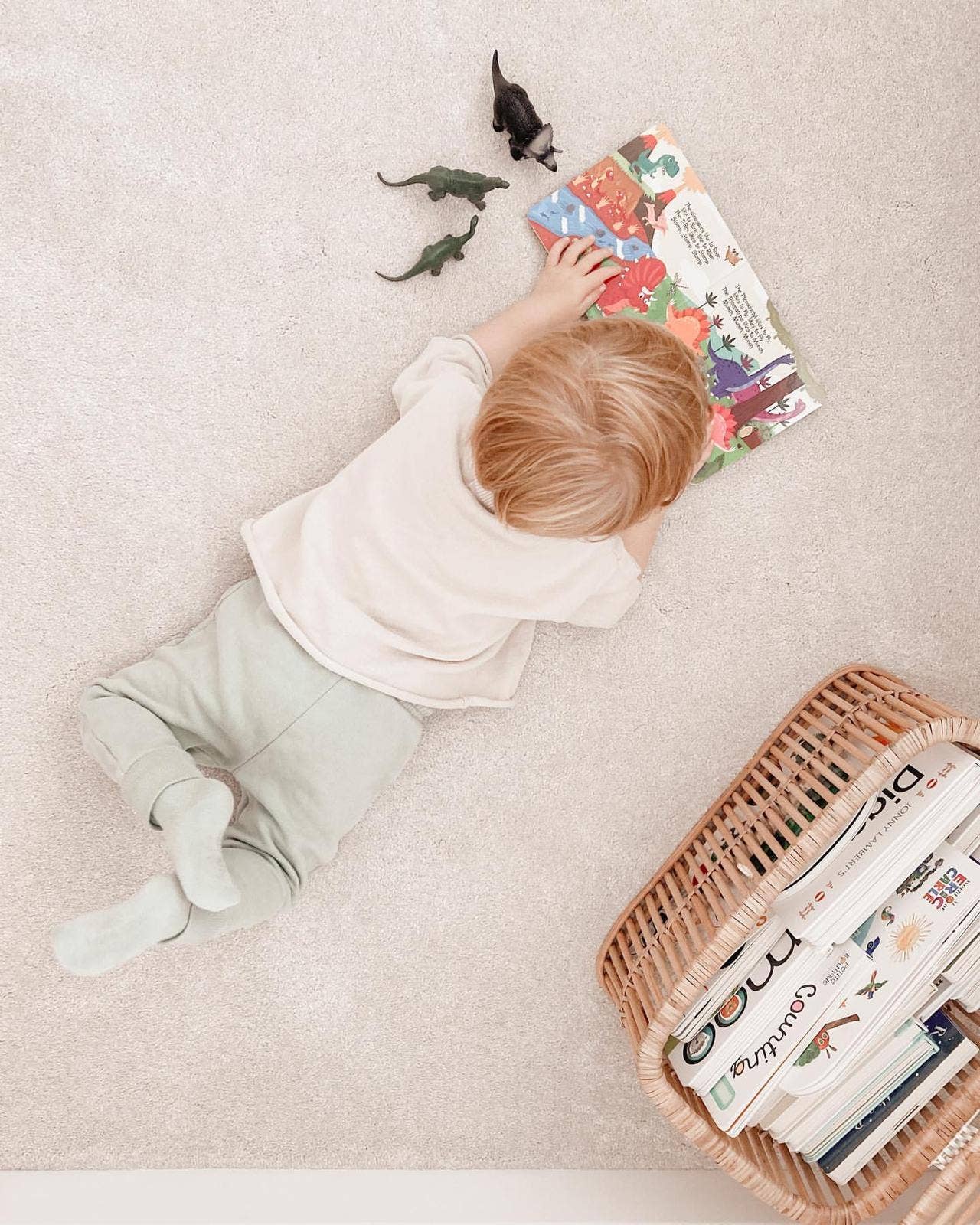 Ditty Bird | Baby Sound Book Dino Lovers | Dinosaur Sounds