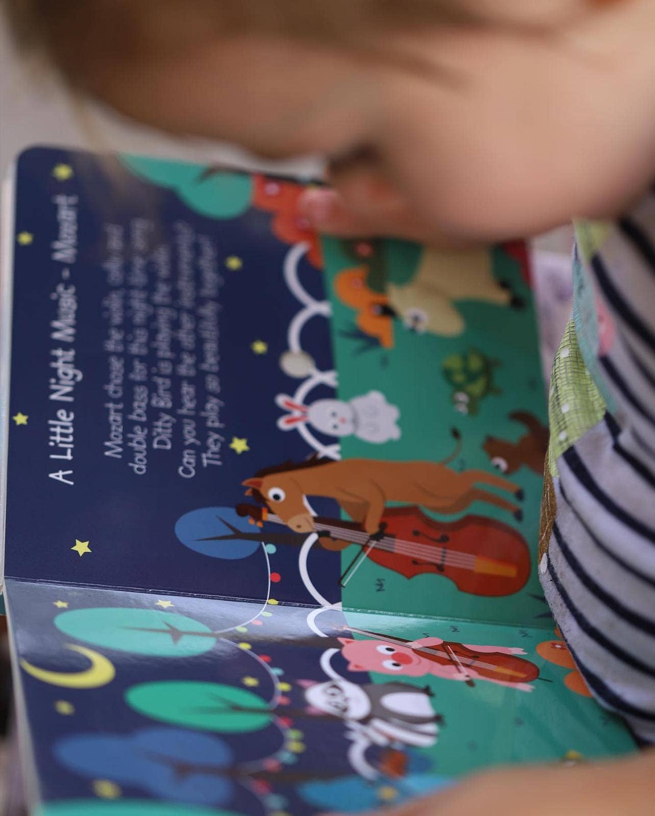 Ditty Bird | Baby Sound Book | Classical Music Mozart-Beethoven