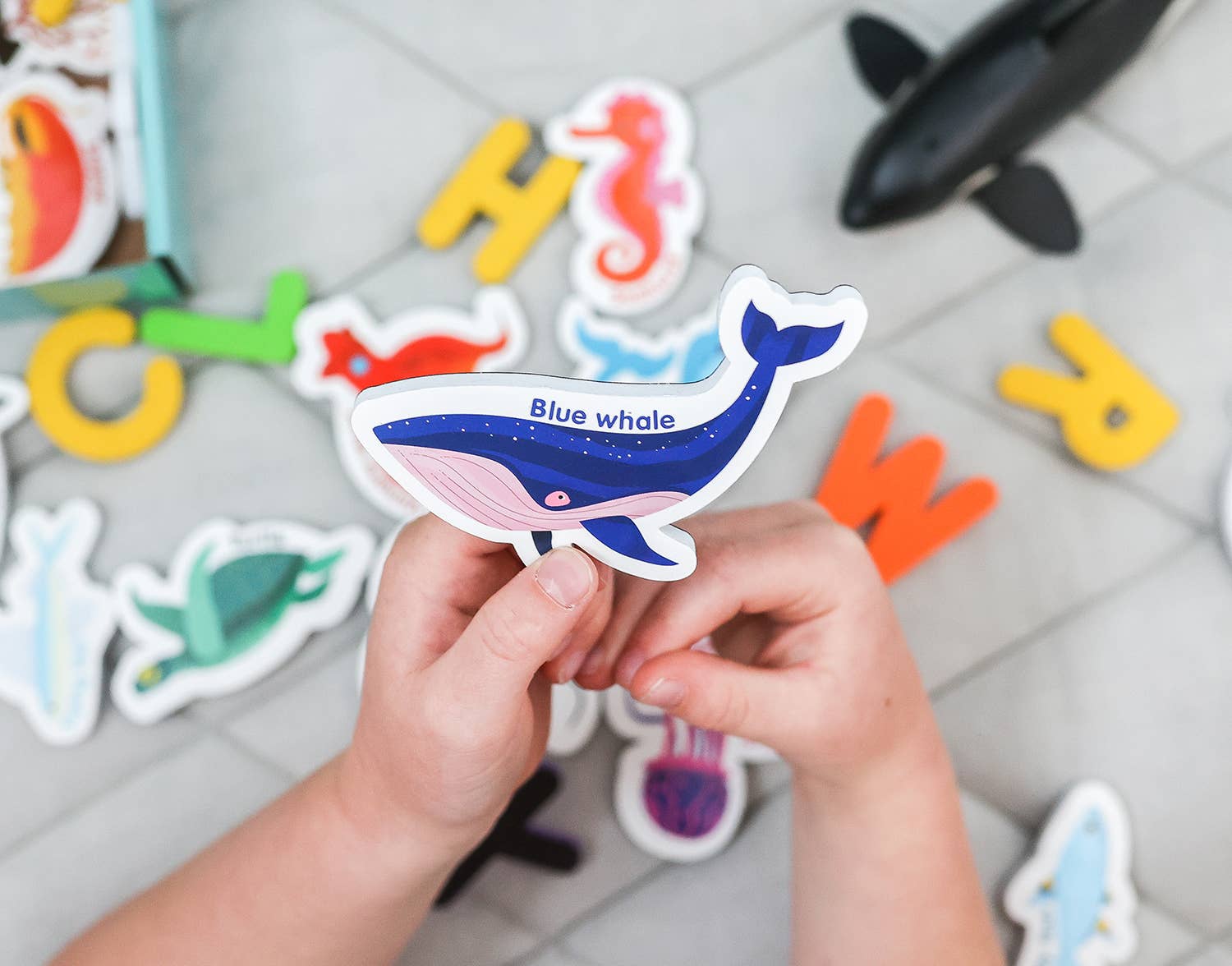Curious Columbus | Magnetic Sea Creatures