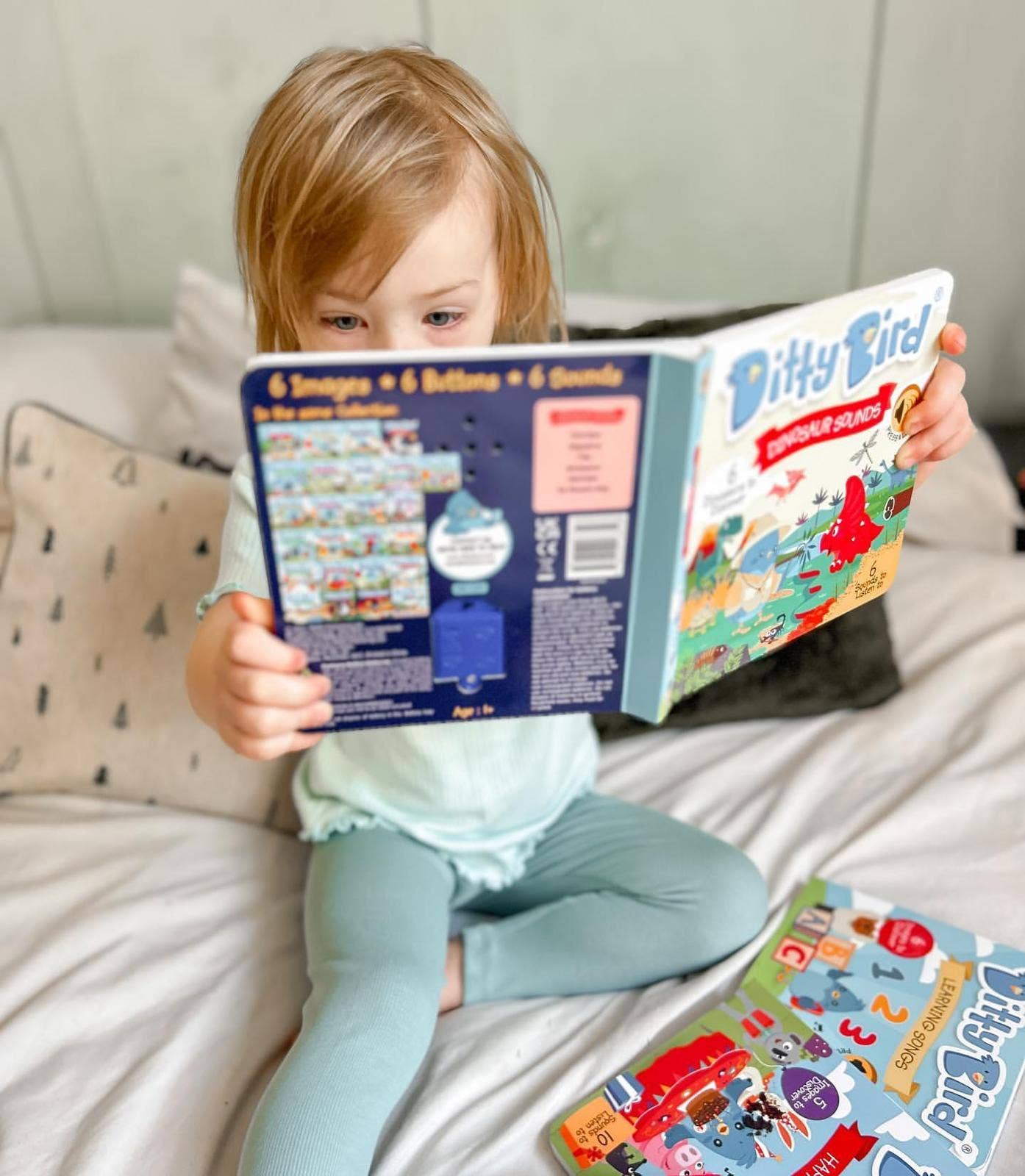 Ditty Bird | Baby Sound Book Dino Lovers | Dinosaur Sounds