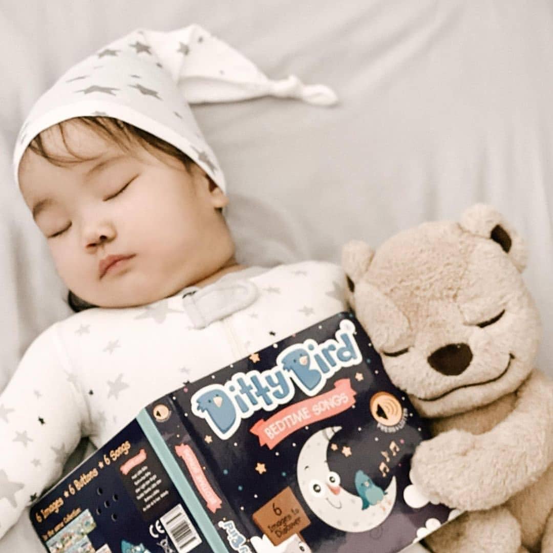 Ditty Bird | Bedtime Songs | Storytime | Baby Sound Book