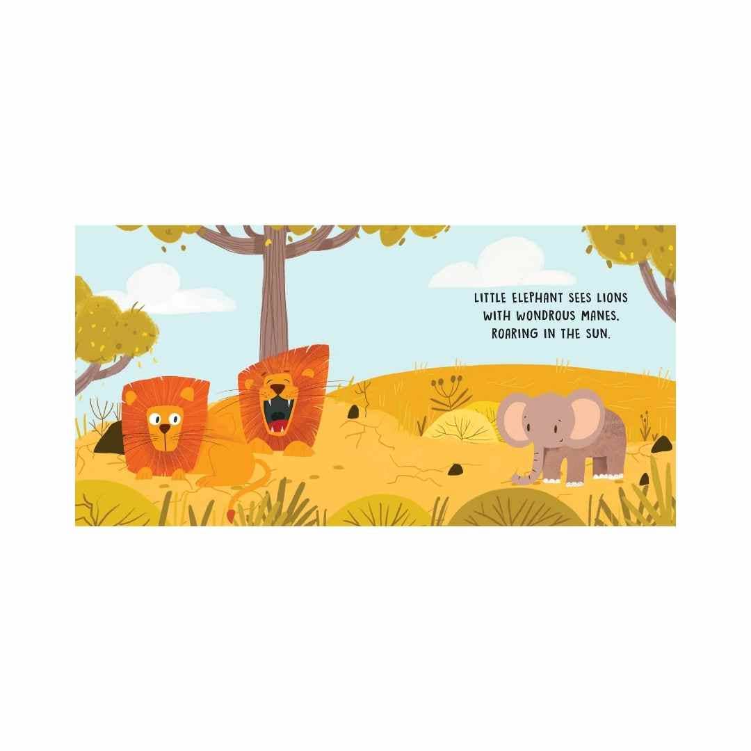 Sassi Board Book | Sweet Sounds Stories | The Savannah