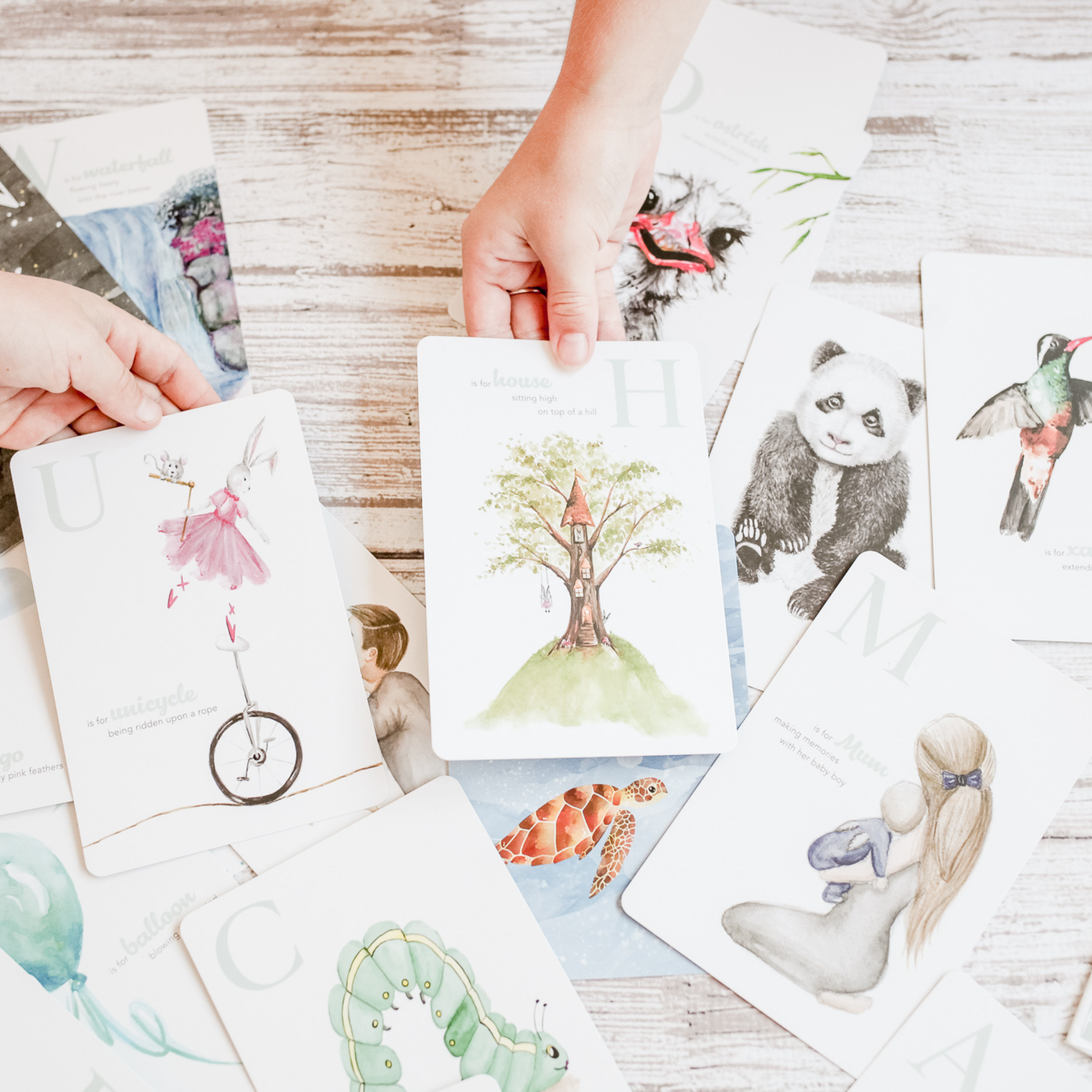 Adored Illustrations | The Amazing ABC Flash Cards