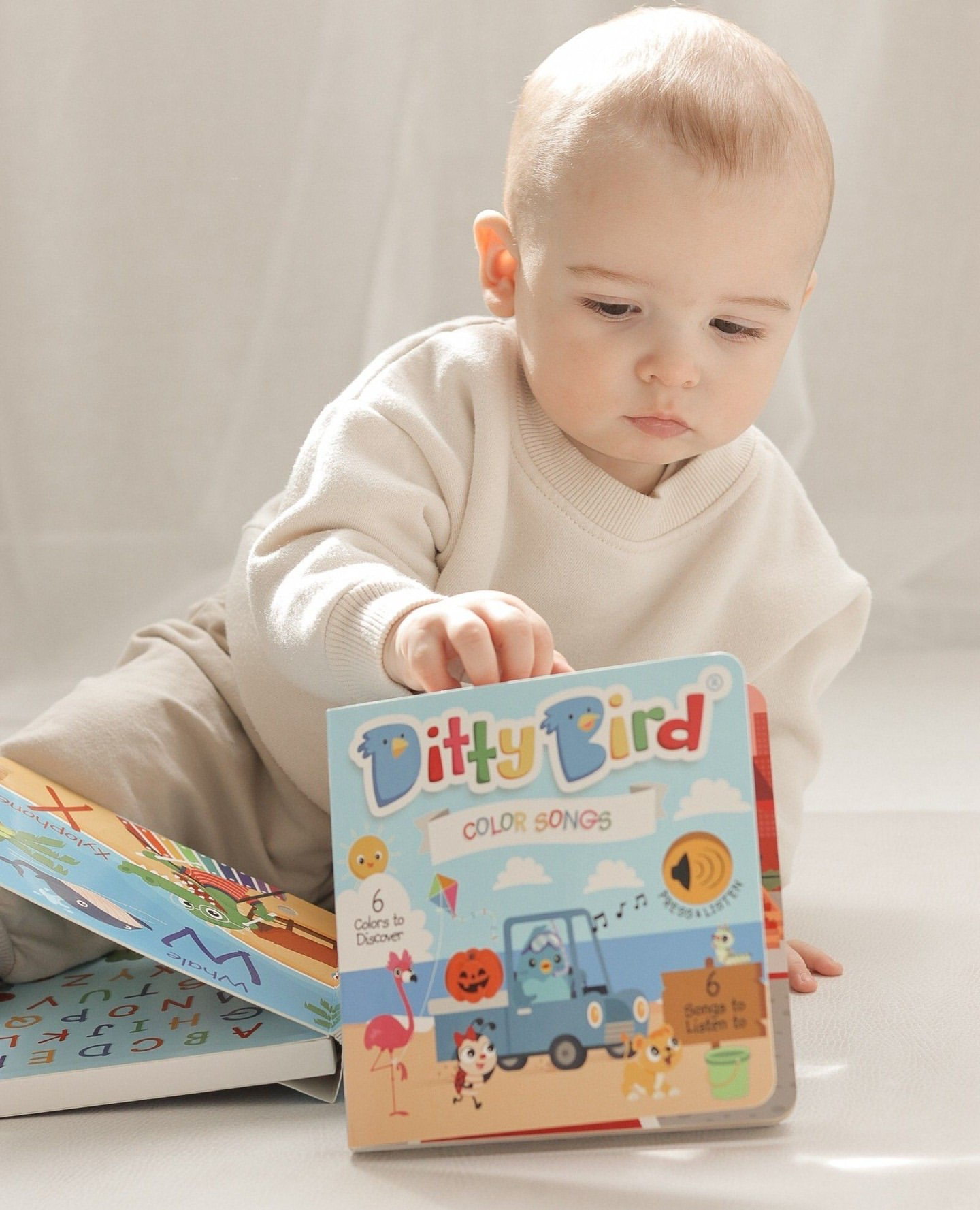Ditty Bird | Sound Book | Color Songs