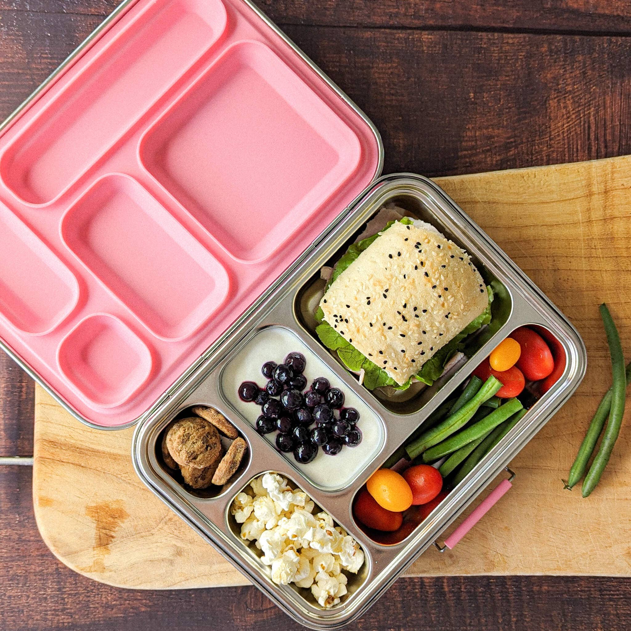 Ecococoon | Bento Box 5 - Stainless Steel - Leak Proof | Blueberry