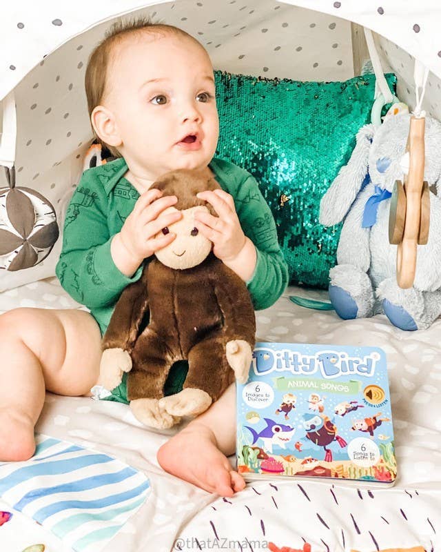 Ditty Bird | Animal songs incl.Baby Shark