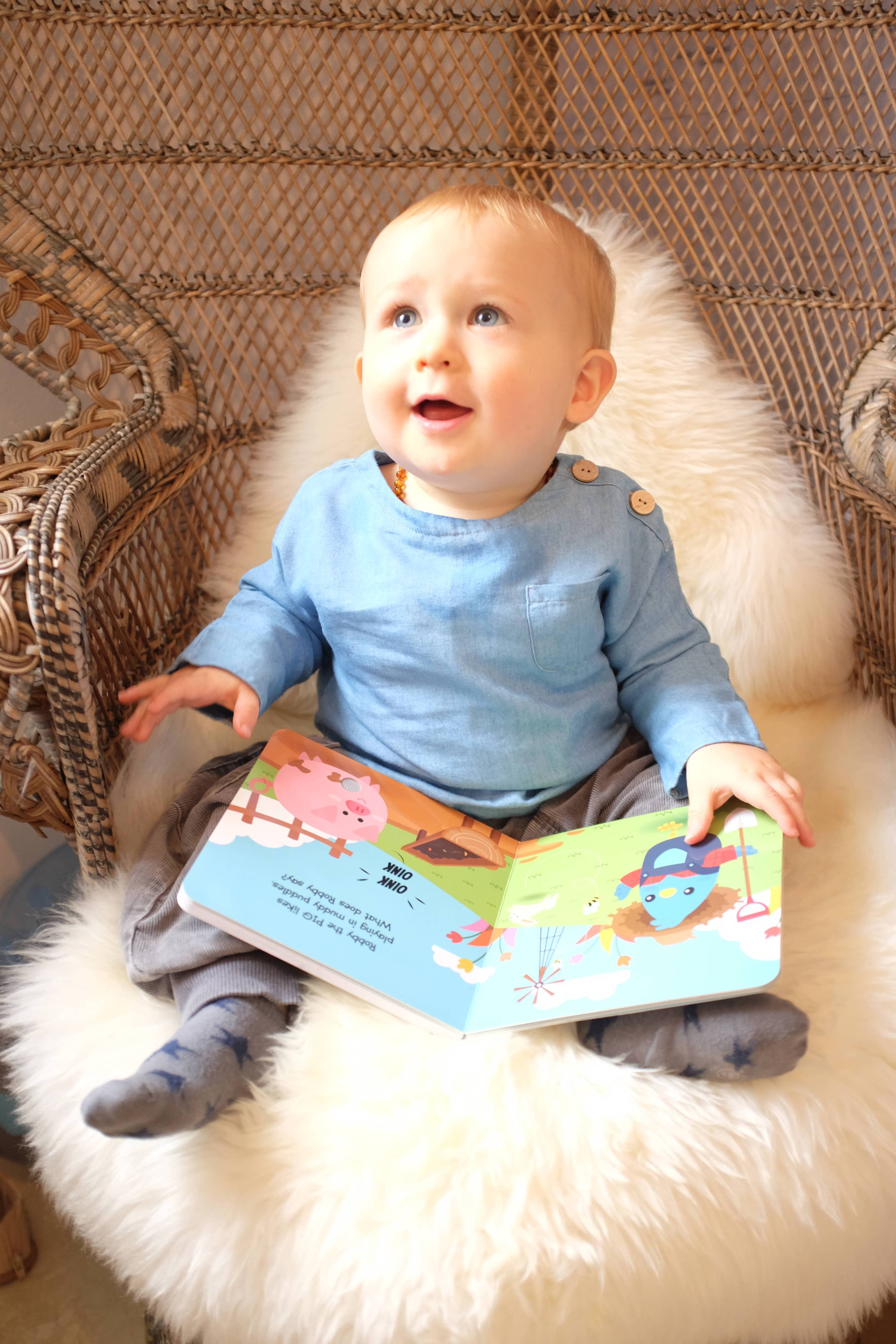 Ditty Bird | Farm Animal | Baby Sound Book Farm