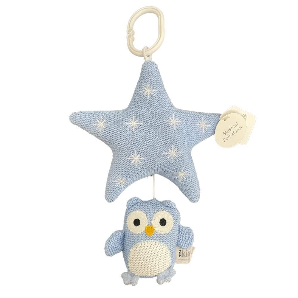 ES Kids Knitted Musical Owl Blue