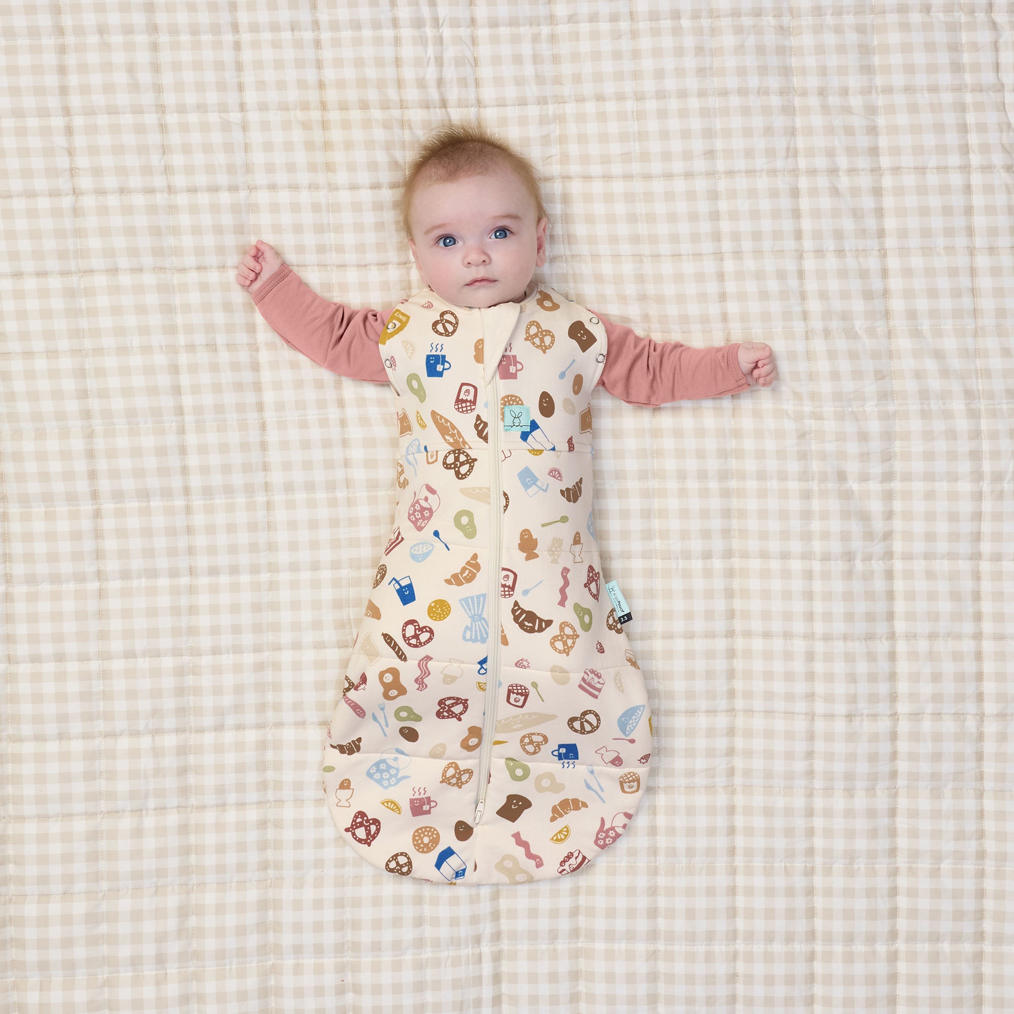 ergoPouch Cocoon Swaddle Bag 2.5TOG | Bon Appetit
