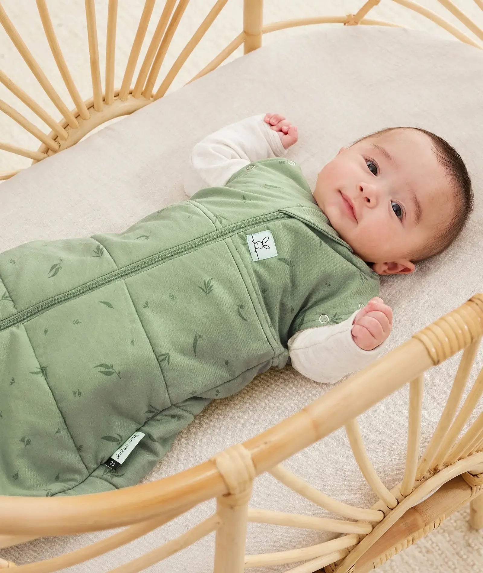 ergoPouch Cocoon Swaddle Bag 2.5TOG Willow