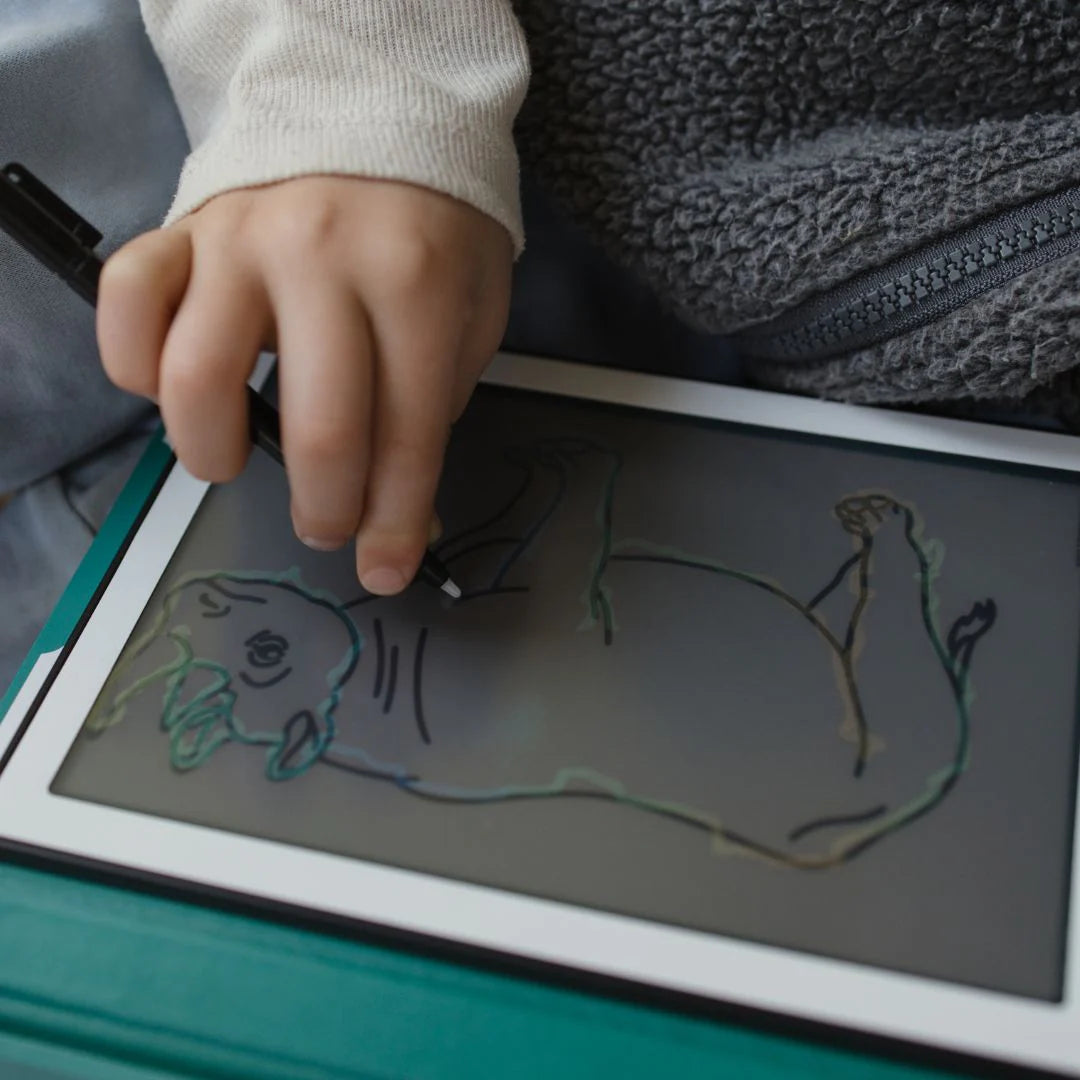 Kidywolf | Kidydraw Mini | Animals Around the World