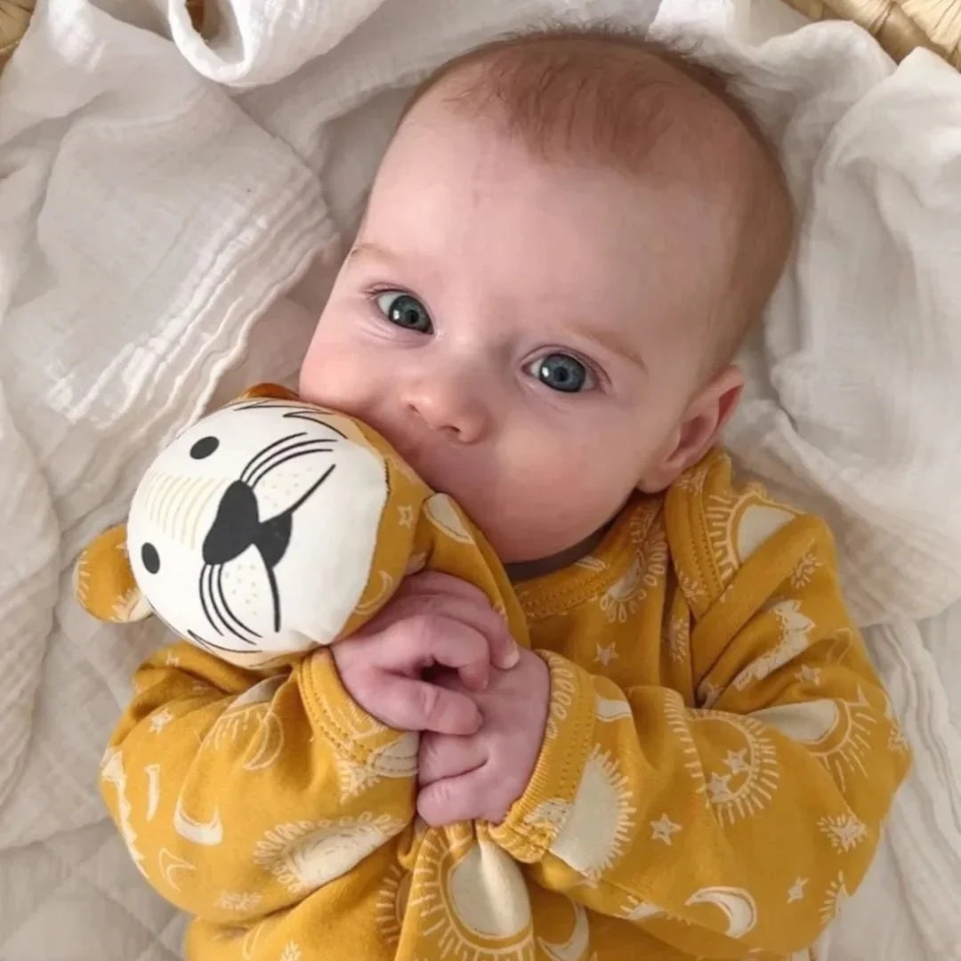 Kippins Organic Cotton Baby Comforter Dash