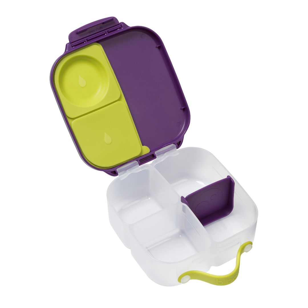 bbox Mini Lunchbox - Passion Splash