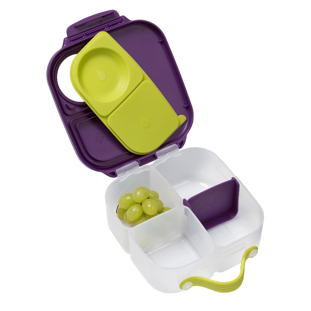 bbox Mini Lunchbox - Passion Splash