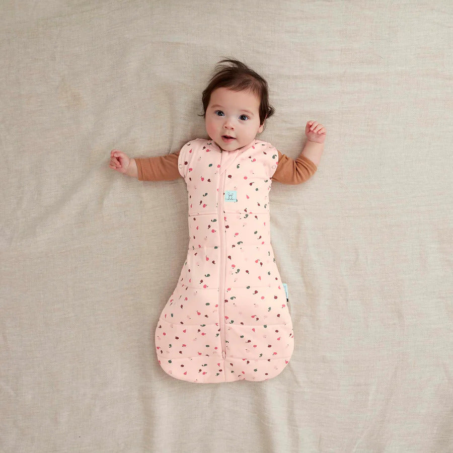 ergoPouch Cocoon Swaddle Bag 2.5TOG Cute Fruit