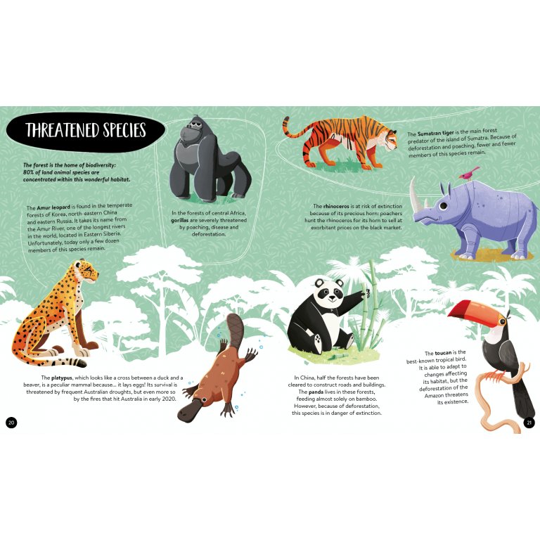 Sassi Books | What How and Why Earth Book and Poster