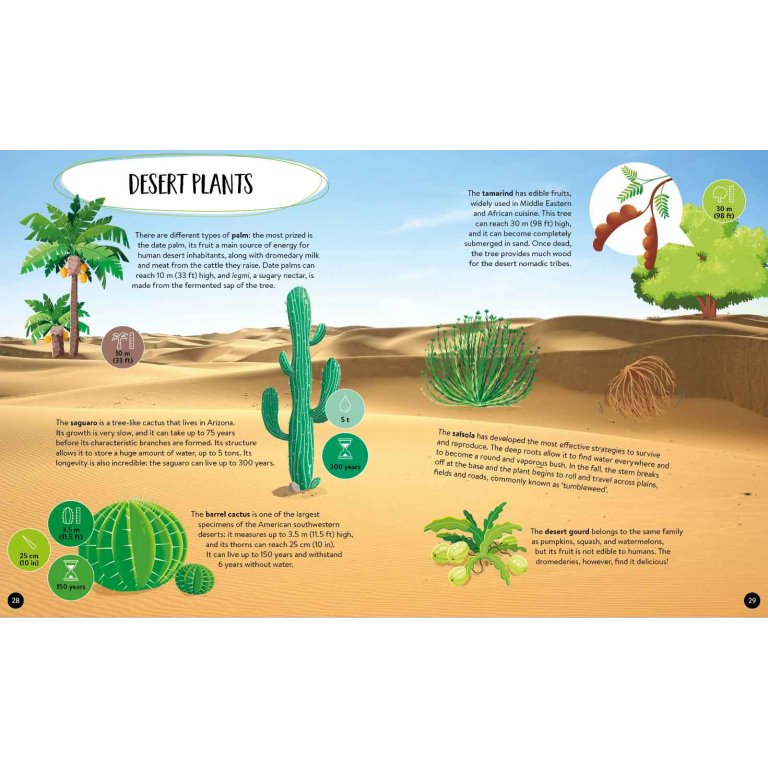 Sassi Books | What How and Why Earth Book and Poster