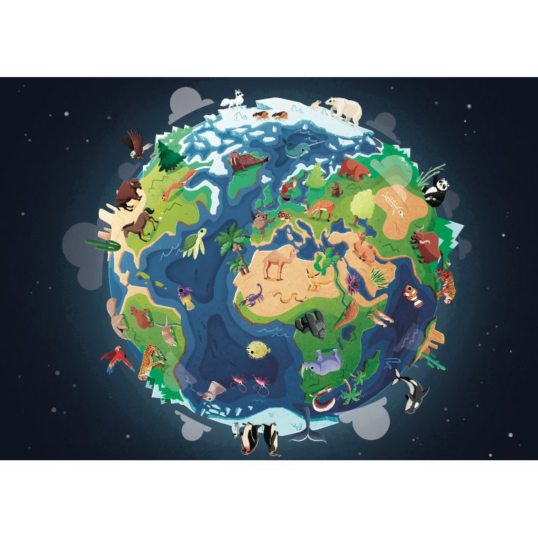 Sassi Books | What How and Why Earth Book and Poster
