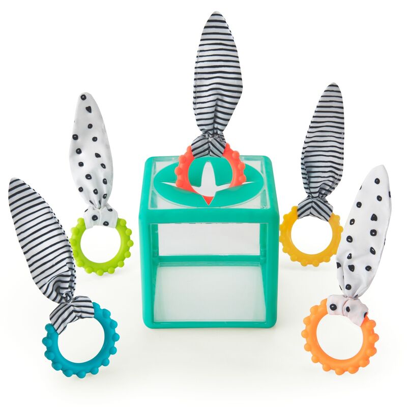 Sassy | Rainbow Ring Drop