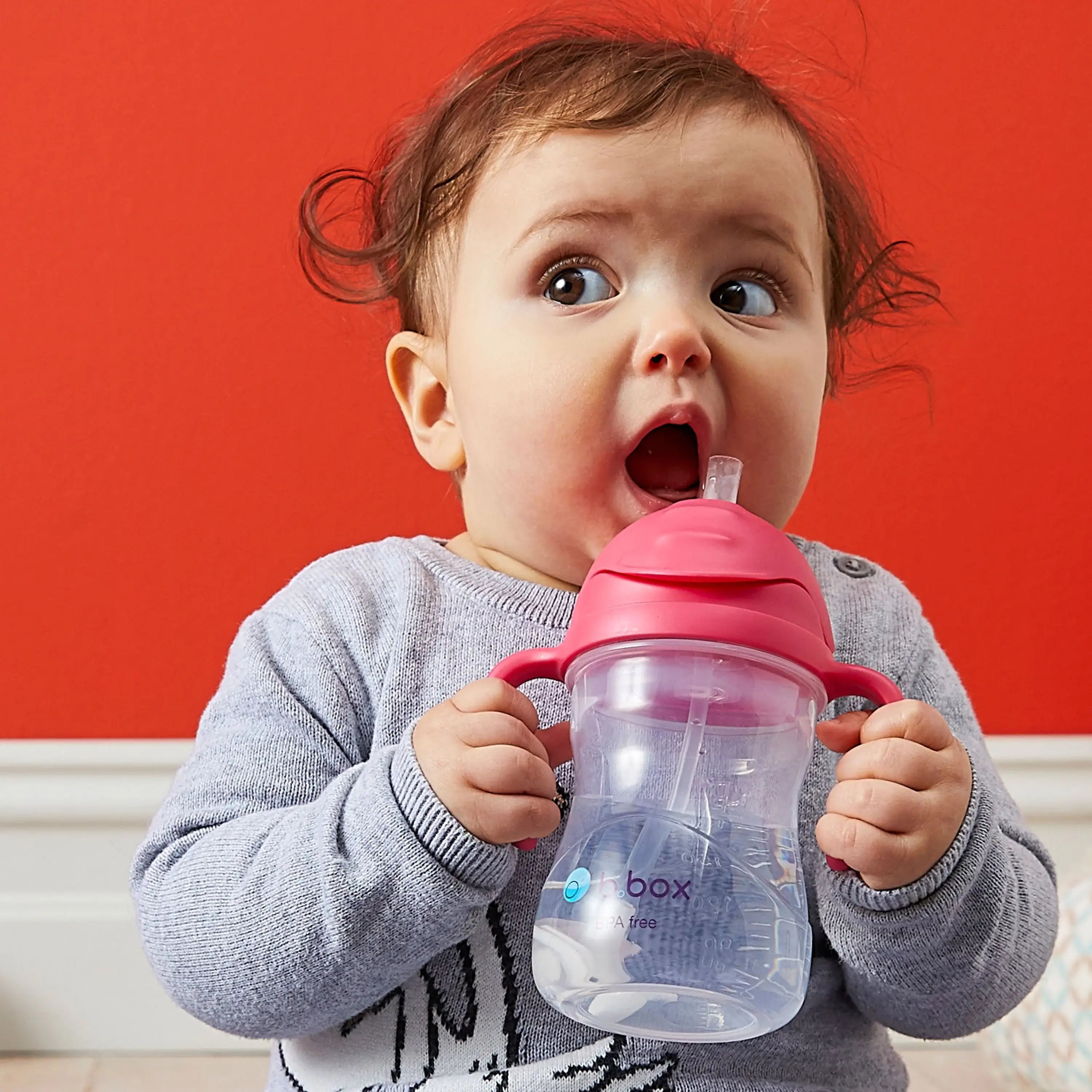 bbox Sippy Cup Raspberry