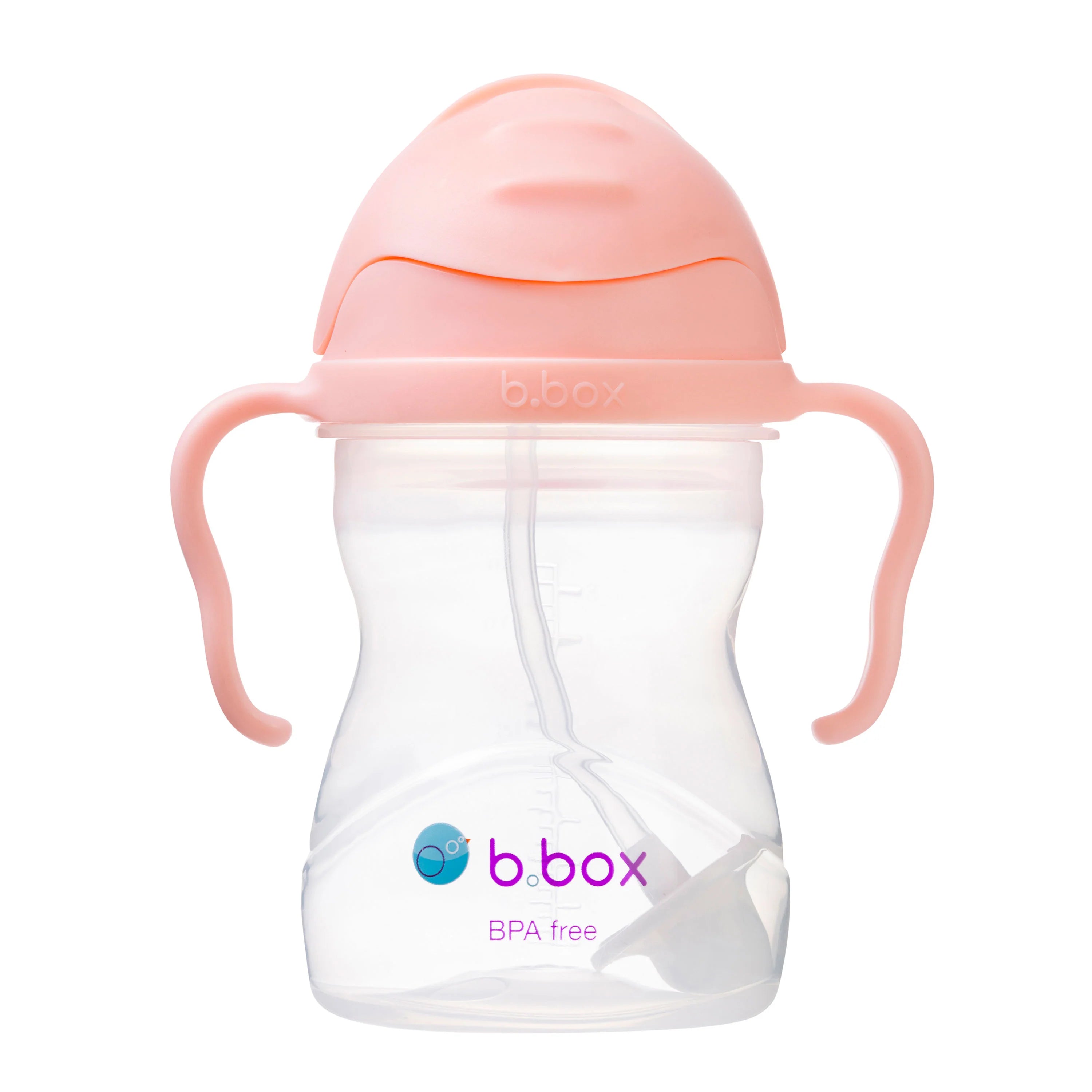 bbox Sippy Cup Tutti Frutti Gelato
