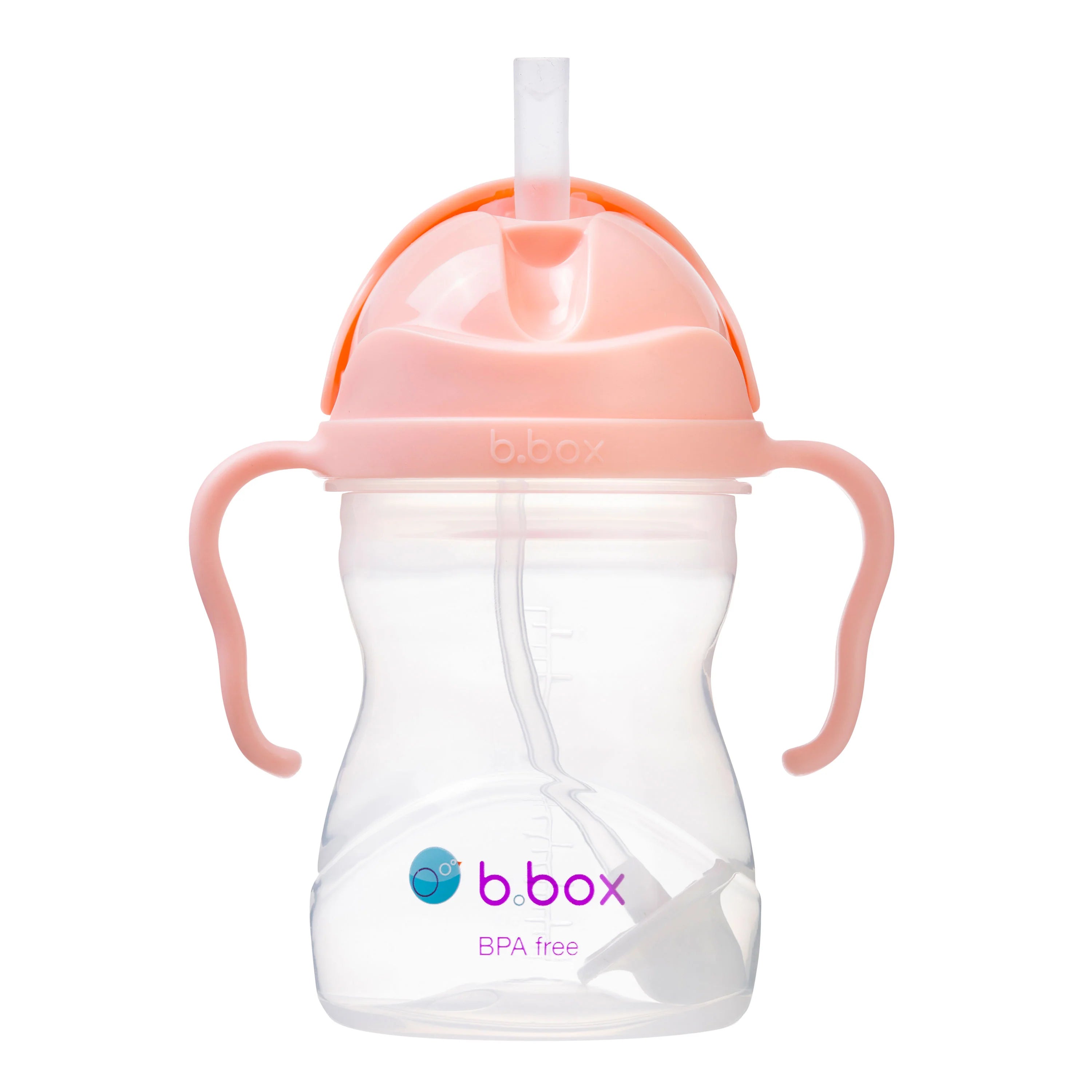 bbox Sippy Cup Tutti Frutti Gelato