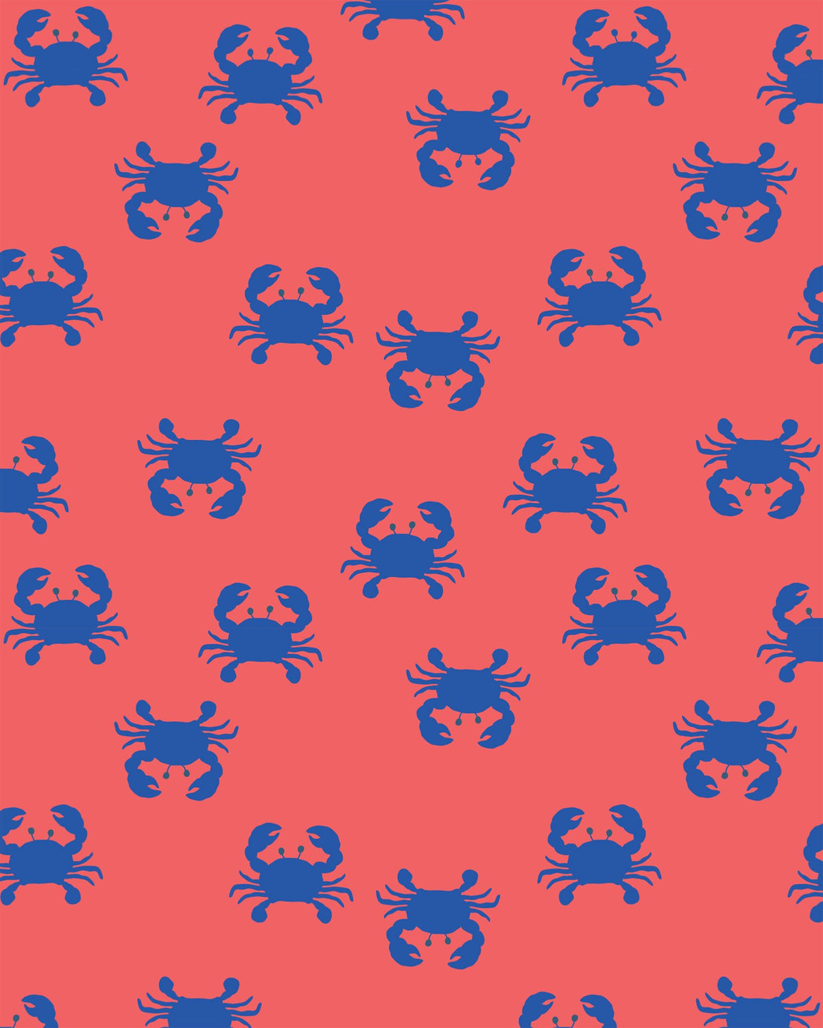 Toshi | Swim Flap Cap Pirate Mud Crabs