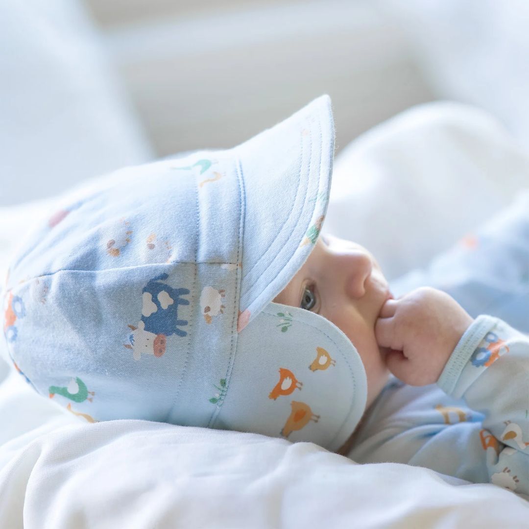 Toshi | Flap Cap Harvest | Farm Buddies