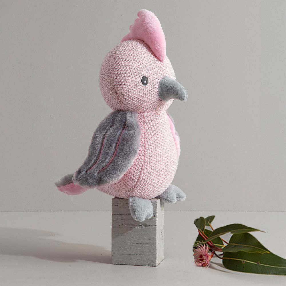 Living Textiles - Knitted Toy - Gary the Galah