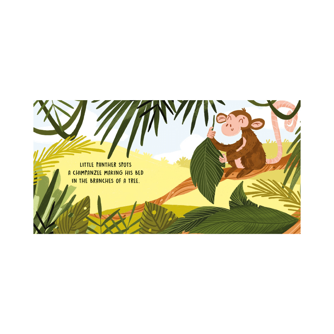 Sassi Board Book | Sweet Sounds Stories | The Jungle