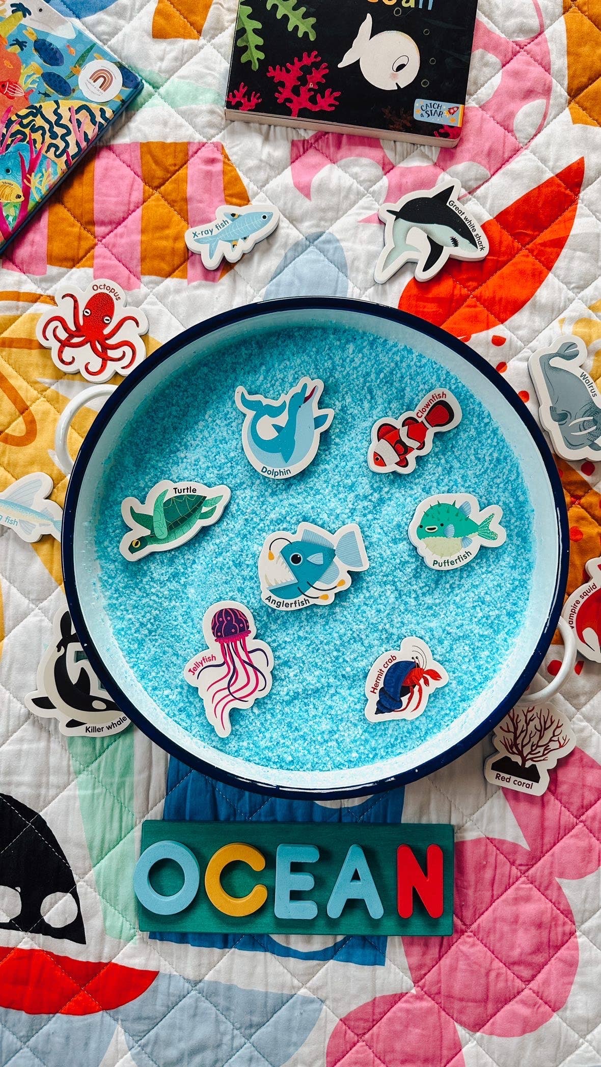 Curious Columbus | Magnetic Sea Creatures