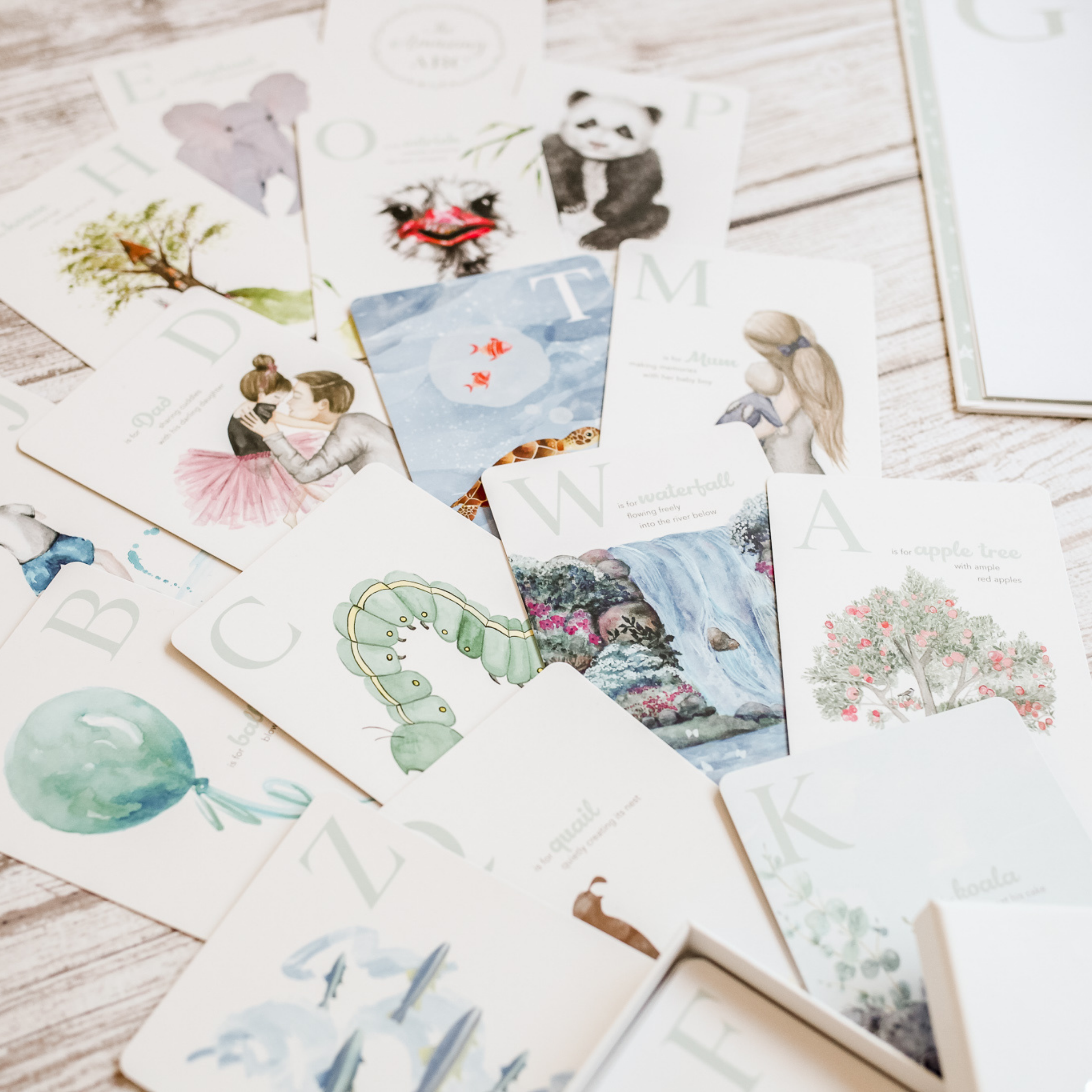 Adored Illustrations | The Amazing ABC Flash Cards