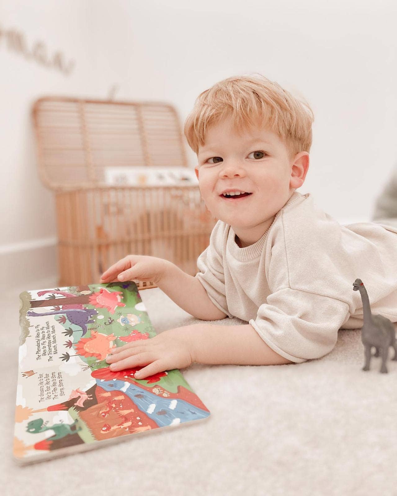 Ditty Bird | Baby Sound Book Dino Lovers | Dinosaur Sounds