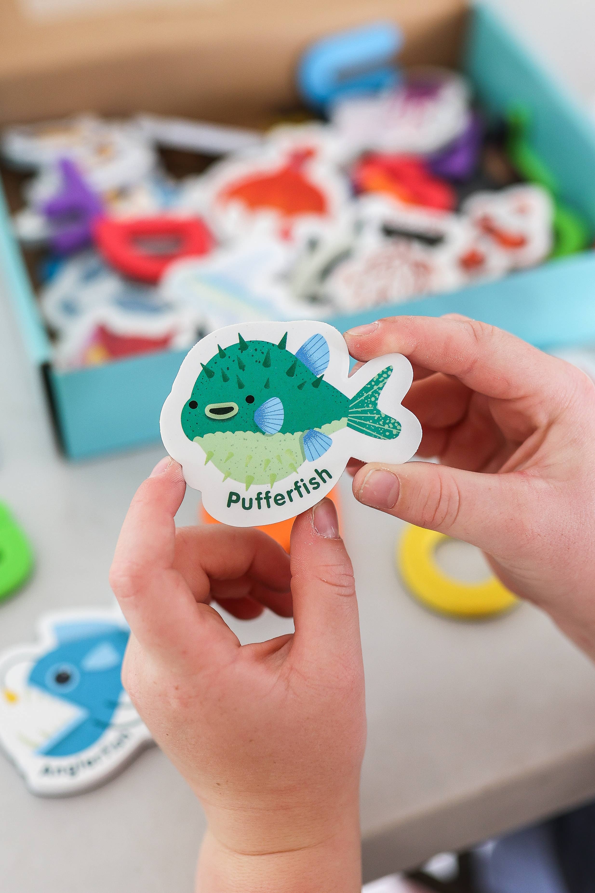 Curious Columbus | Magnetic Sea Creatures