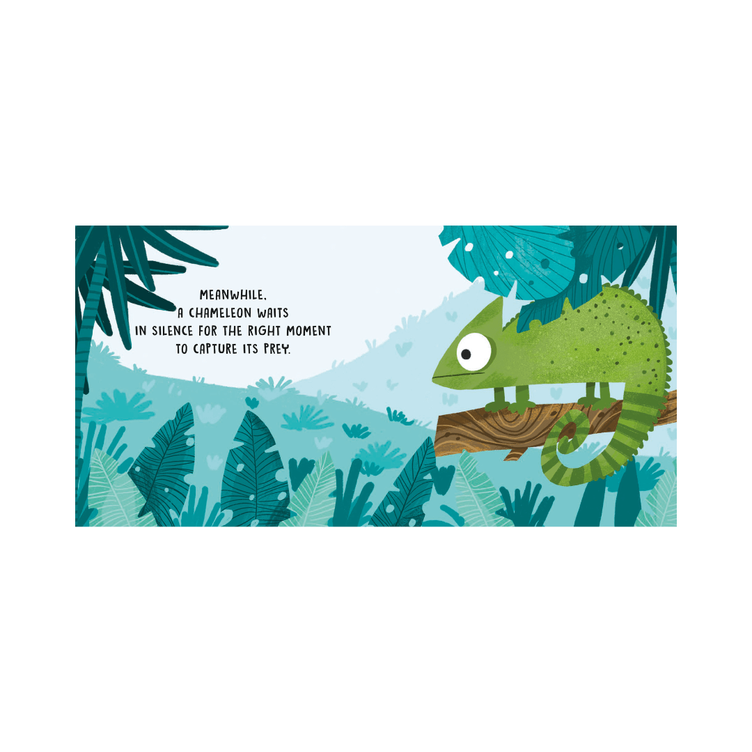 Sassi Board Book | Sweet Sounds Stories | The Jungle