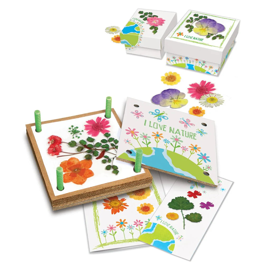 4M Green Science Pressed Flower Art