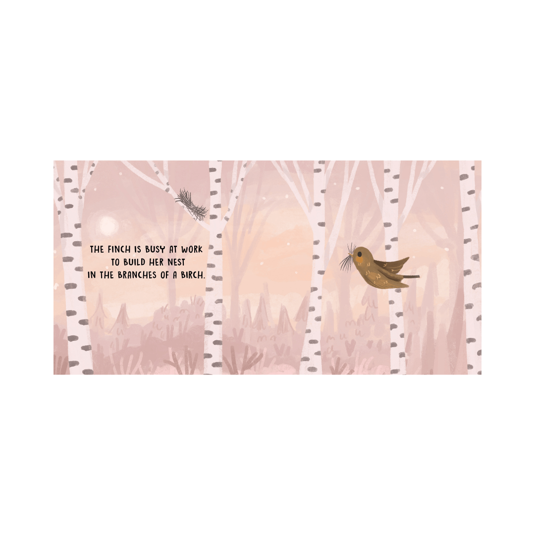 Sassi Board Book Sweet Sounds Stories | Birds
