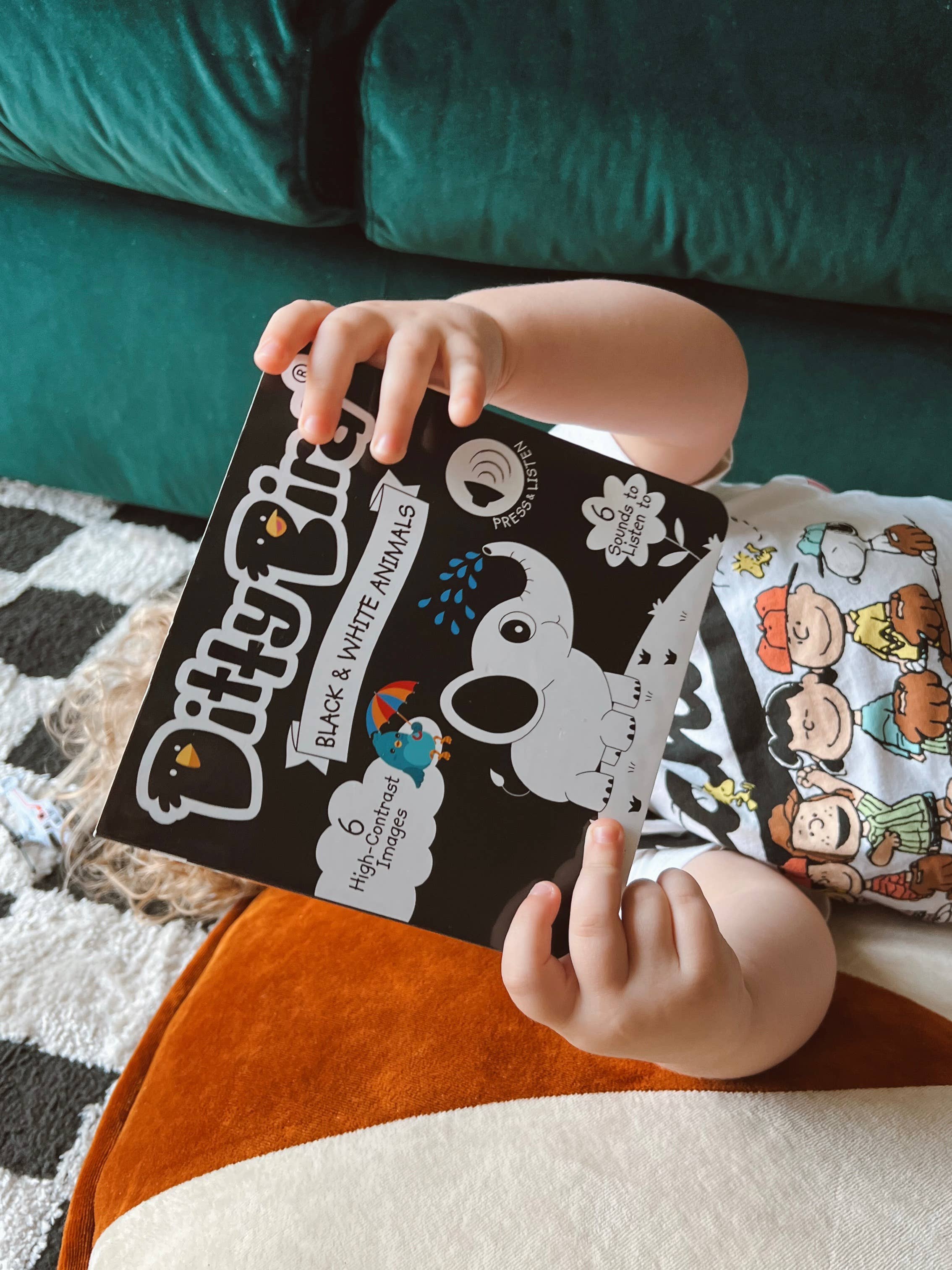 Ditty Bird | Black and White Sound Book